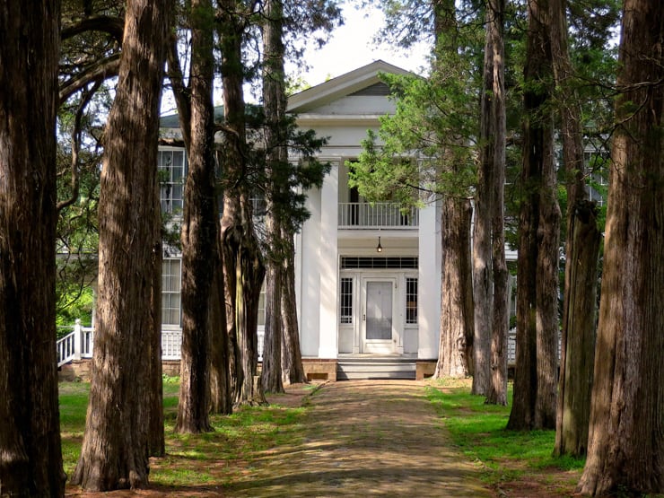 An image of the Old Rowan Oak House in the middle of some trees